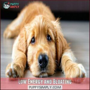 Low Energy and Bloating