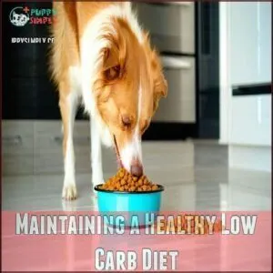 Maintaining a Healthy Low Carb Diet