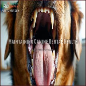 Maintaining Canine Dental Health