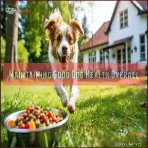 Maintaining Good Dog Health Overall