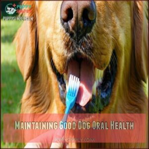 Maintaining Good Dog Oral Health