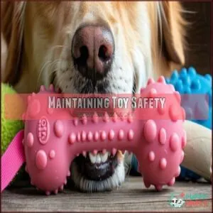 Maintaining Toy Safety