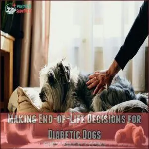Making End-of-Life Decisions for Diabetic Dogs