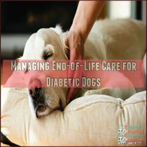 Managing End-of-Life Care for Diabetic Dogs