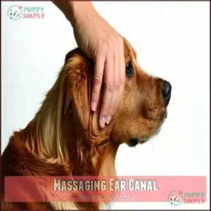 Massaging Ear Canal