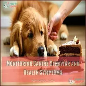 Monitoring Canine Behavior and Health Symptoms