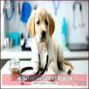 Monitoring Canine Health