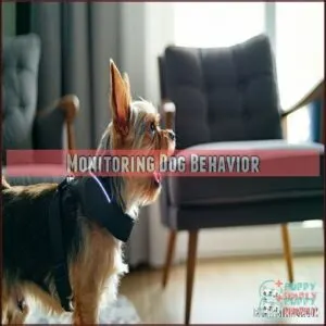 Monitoring Dog Behavior