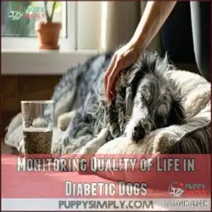 Monitoring Quality of Life in Diabetic Dogs