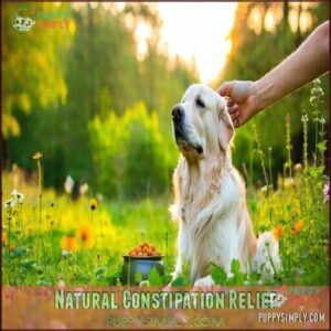 Natural Constipation Relief