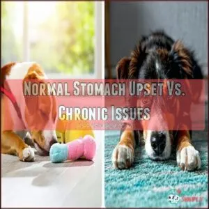 Normal Stomach Upset Vs. Chronic Issues