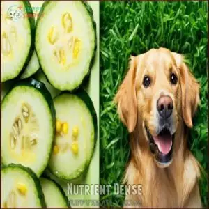 Nutrient Dense