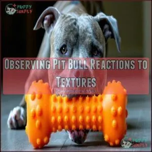 Observing Pit Bull Reactions to Textures
