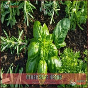 Other Safe Herbs