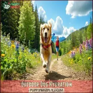 Outdoor Dog Hydration