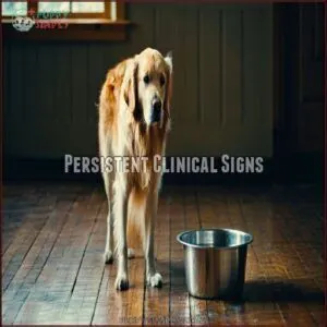 Persistent Clinical Signs