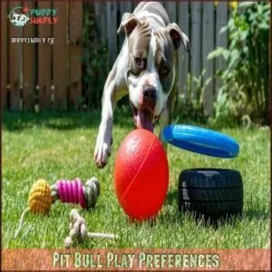 Pit Bull Play Preferences Pit Bull Play Preferences