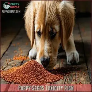 Poppy Seeds Toxicity Risk