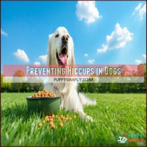 Preventing Hiccups in Dogs