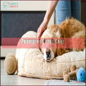 Providing Extra Care