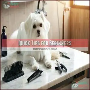 Quick Tips for Beginners