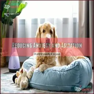 Reducing Anxiety and Agitation