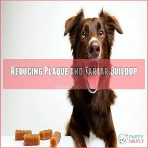 Reducing Plaque and Tartar Buildup