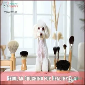 Regular Brushing for Healthy Coat