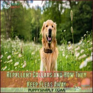 Repellent Collars and How They Keep Fleas Away