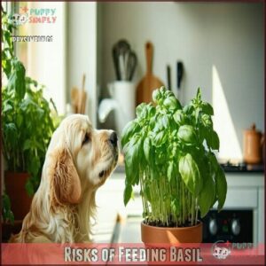 Risks of Feeding Basil