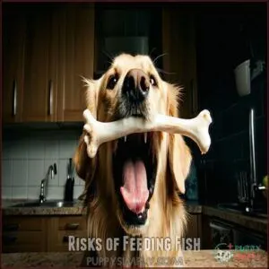 Risks of Feeding Fish