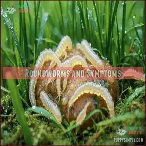 Roundworms and Symptoms