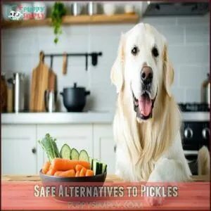Safe Alternatives to Pickles