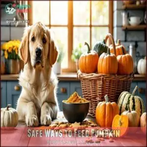 Safe Ways to Feed Pumpkin