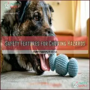 Safety Features for Choking Hazards