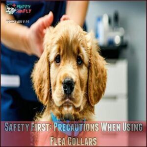 Safety First: Precautions When Using Flea Collars