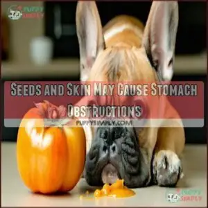 Seeds and Skin May Cause Stomach Obstructions