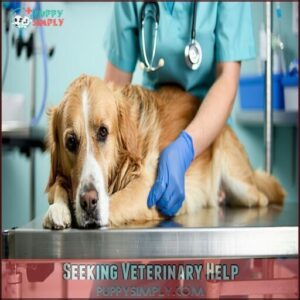 Seeking Veterinary Help