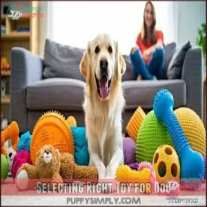 Selecting Right Toy for Dog