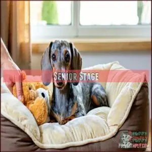 Senior Stage