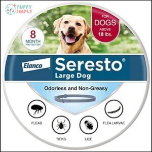 Seresto Large Dog Vet-Recommended Flea