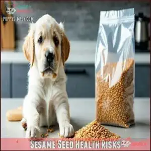 Sesame Seed Health Risks