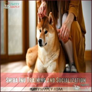 Shiba Inu Training and Socialization