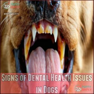 Signs of Dental Health Issues in Dogs