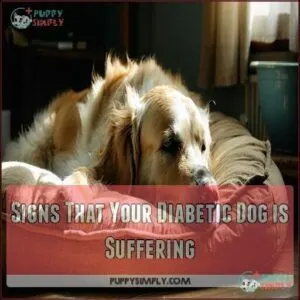 Signs That Your Diabetic Dog is Suffering