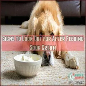 Signs to Look Out for After Feeding Sour Cream