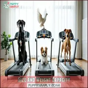 Size and Weight Capacity