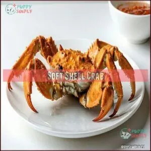 Soft Shell Crab