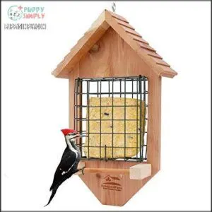 Solution4Patio USA Cedar Tail Prop