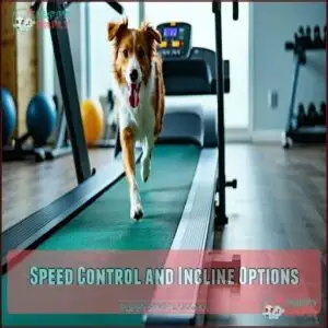 Speed Control and Incline Options